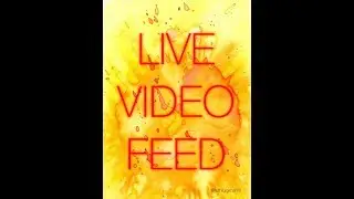 Live | Coloring | Bellaria Serene  Nicholas Filbert Chandrawienata