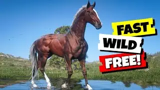 RDR2 - Get This Fast Race Horse Early and Free! (Blood Bay Thoroughbred Location)