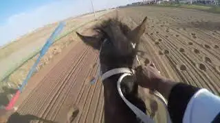 مكسب مفراصه بالقصيم المسافه 8 F خالد الرويشد 11/ 8/ 1445ه‍