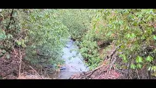 addis gap shuttle pick up mill creek rd access swallow creek management