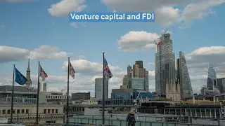 fDi in the Sky: Venture capital and FDI