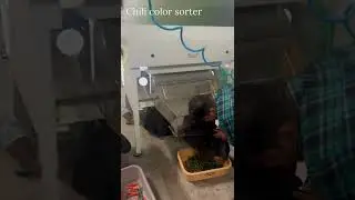 ✅Chili Color Sorter / Mirchi Color Sorter Machine in Coimbatore, India - ☎️ Call @+919994399996
