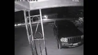 Fox caught on security camera