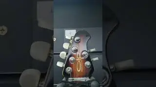 VAN HALEN'S GUITAR!!!