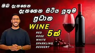 What are the main types of wine | මොනවද ප්&zwj;රධාන වයින් වර්ග පහ | what is the main grapes varieties 