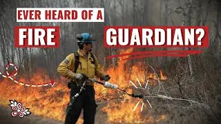 Ever Heard of a Fire Guardian?