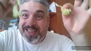 Mi mangia broccolo con le strascinate