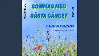 Sommar med b&auml;sta g&auml;nget