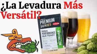 Nottingham Yeast: La Levadura Más Versátil para cerveza casera 🍺