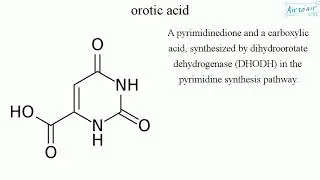 orotic acid