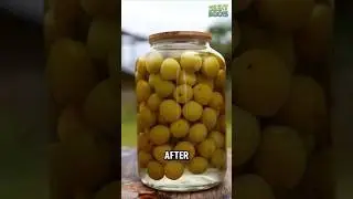 Эти кислые сливы ферментируются дважды