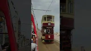 Blackpool's Old Trams could be lost for ever