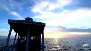 Tomia Scuba Dive - Wakatobi, Sulawesi Indonesia