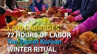 Why Koreans Make a Year's Supply of Kimchi in One Week