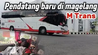 Magelang Semakin memanas‼️ada pendatang baru M Trans