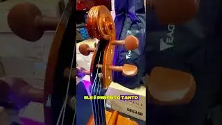 Violoncelo Eagle CE 200