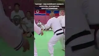 #shorts Мастер класс по тансудо