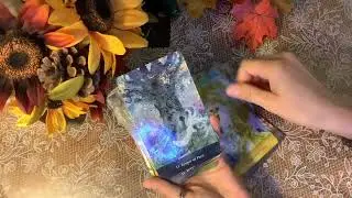 💥New Release💥 Tree Keepers Oracle Cards 🌳 💥Unpacking and Review 🎉