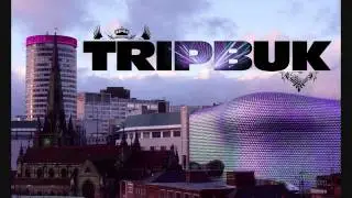 Tripbuk-White Satin (DUBHOP REMIX)