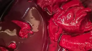 Goat Blood fry Recipe in Kannada | ಮೇಕೆ ರಕ್ತದ ಫ್ರೈ ಮಾಡಿ ನೋಡಿ | Lamb Blood Fry Kannada | Anu Kitchens