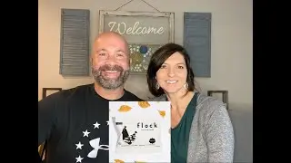 Flock Chicken Chips VS Homemade
