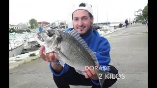 peche a sete team topac 10/05/2018