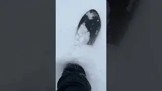 Pow Surf turns in Vermont