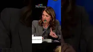 'It is not anti-immigration sentiment': Danielle Smith on immigration