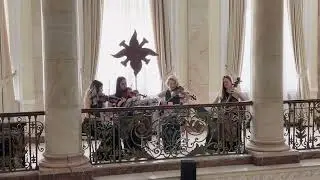 Luminary - String Quartet (cover by Essenza Quartet)