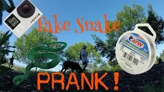 Crazy Snake Chase Prank!!!