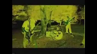 Prana - Bird Song