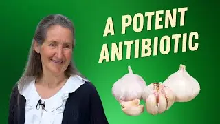 This Garlic Trick Clears Kids&rsquo; Colds FAST  (Safe & Natural) | Barbara O'Neill