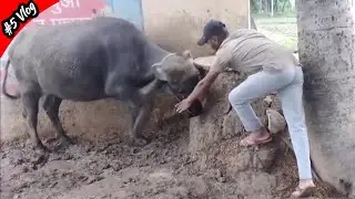 Village Vlog | Village Lifestyle Vlog  | Deshi Vlogs #villagevlogs #villagelifestyle