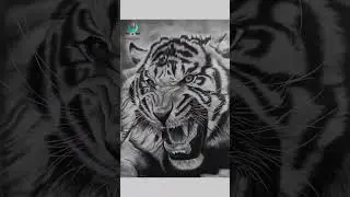 Hyperrealistic Tiger Drawing | THE A ART | @anshu_arts_2402 follow for more on instagram.