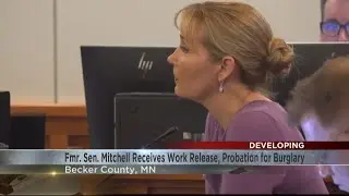 Fmr. Sen. Nicole Mitchell sentenced to jailtime, granted work release for burglary