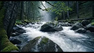 LIVE ASMR 🌿 Pure River Sounds You&rsquo;ve Never Heard Before