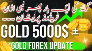 Gold All Time High in The History | Gold 5000$+ Today | Gold Forex Market Update 
