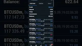 forex is not a scam