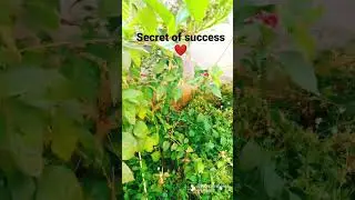 Success decoded 👍 #fun  #epudra #youtubeshorts