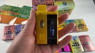 Blinkers 2g empty disposable vape