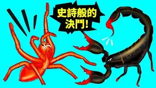 蠍子和地球上最大的蜘蛛誰會勝出呢
