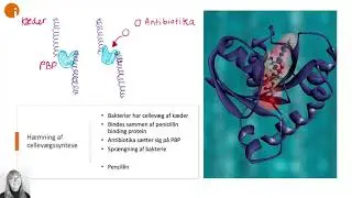 Antibiotika - Basal Farmakologi