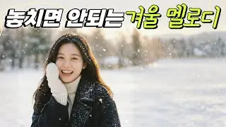 [Cafe Playlist] ❄️우연히 들었는데 기분좋아지는 겨울노래모음 [광고❌] ☕Calm Winter BGM  Loved by Café Owners /冬に合う落ち着いたBGM