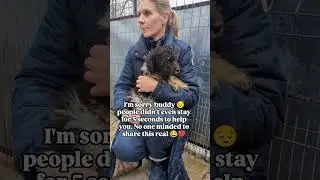 please lets follow this channel #canada#uk#america#viralrescue#animal#florida #love