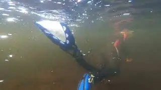 Invasive Species Lake Surveys