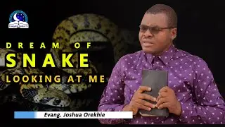 Dream of Snake Looking or Staring At Me - Biblical Meaning and Symbolism