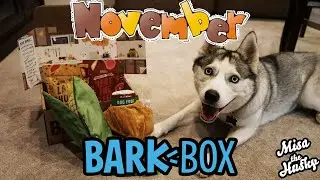 Распаковка BarkBox за ноябрь 2020 г.