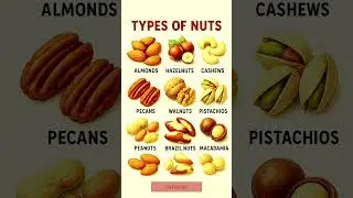 Types of Nuts | Health Benefits & Nutrition Guide #healthyeating #healthylifestyle #diettips #diet