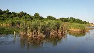 Frumusetea  Naturii ( Canal Dridu )!