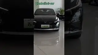Wuling Starlight 2025 EV 610KM Smart Advanced Version  EXW $13130 Black#Wuling #Starlight